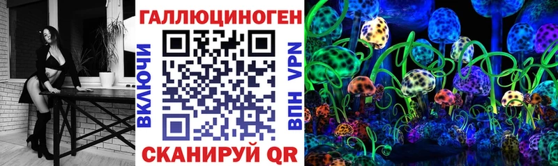 Галлюциногенные грибы MAGIC MUSHROOMS  где купить наркоту  Чернушка 